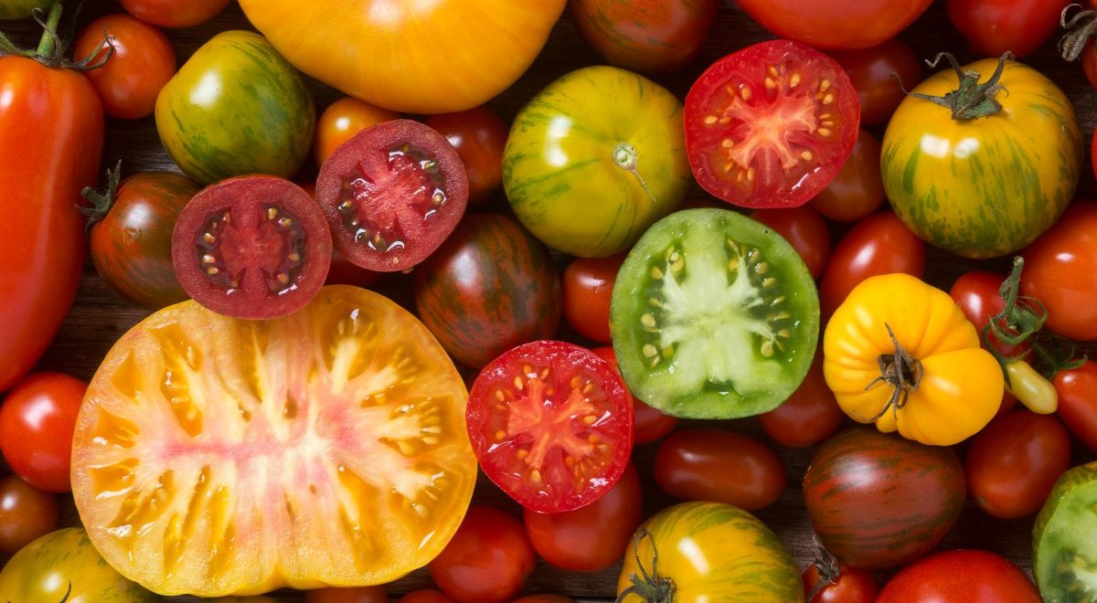 Post ESG Word Games: You Say TomAto, I say TomAHto – Let’s Call the Whole Thing Off