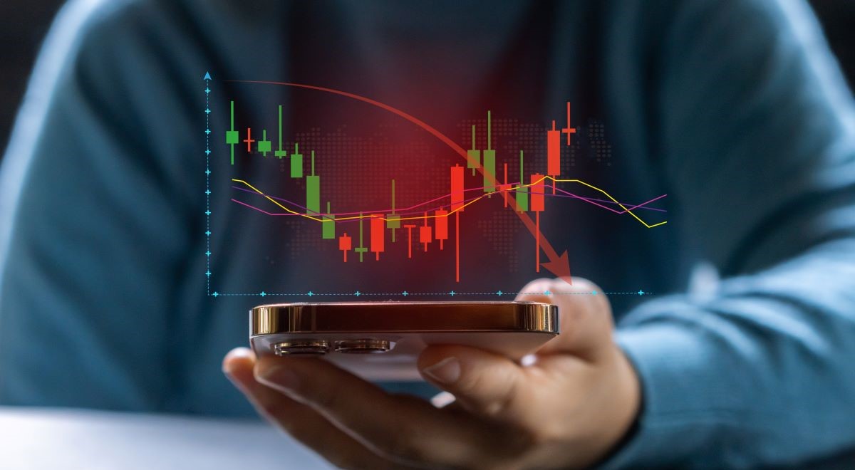Freefall: Reflections on a Market Rout